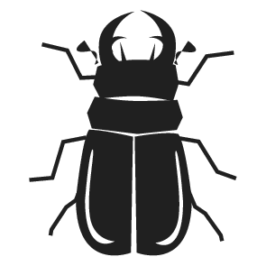 Coleoptera