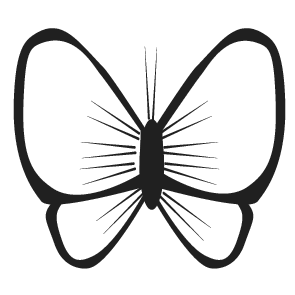 Lepidoptera